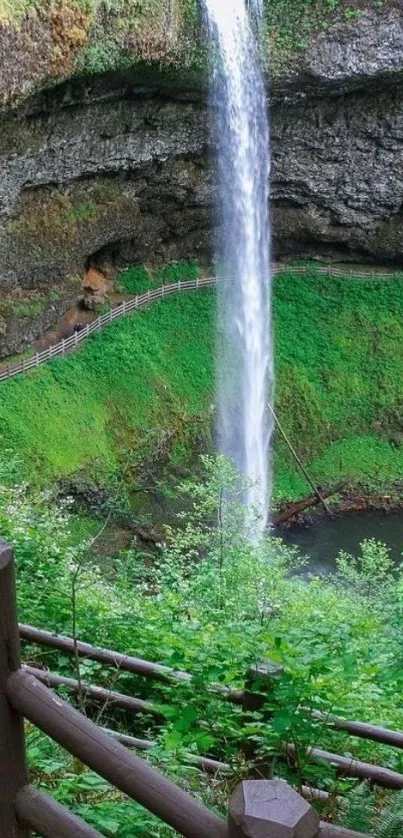 Waterfall surrounded by lush green forest with a scenic view.