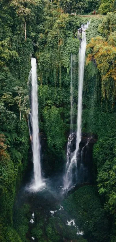 A scenic wallpaper showcasing a tall waterfall surrounded by lush greenery.