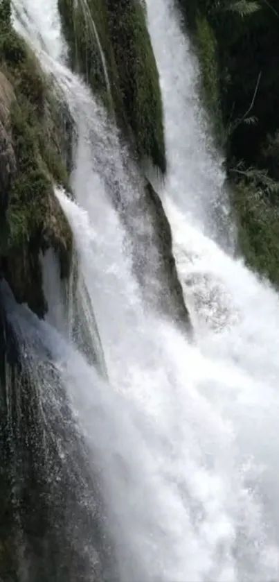 Cascading waterfall amidst lush greenery on mobile wallpaper.