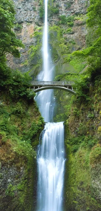 Waterfall cascading under a stone bridge amidst lush greenery.