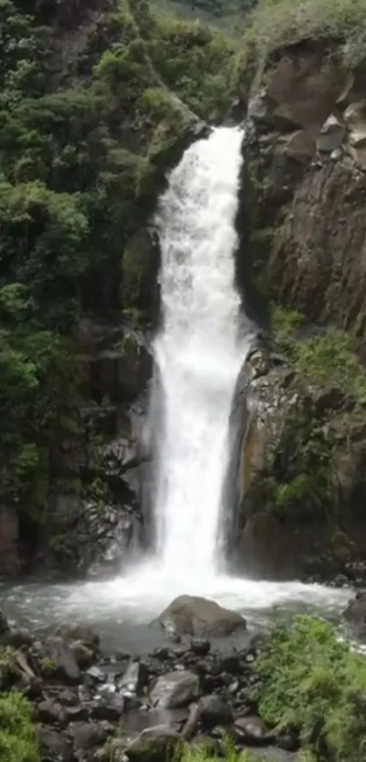 Waterfall cascading over rocks with lush green surroundings.