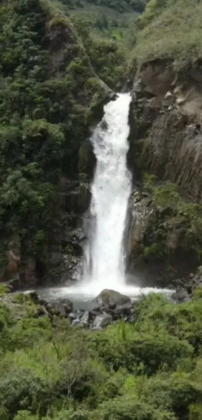 Beautiful waterfall cascading in lush green forest scenery.