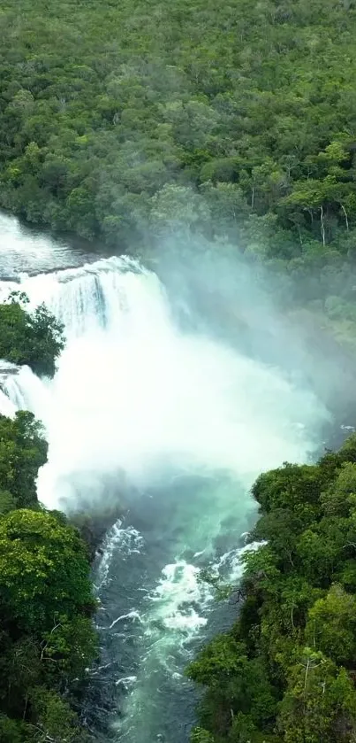 Lush green forest with a cascading waterfall.