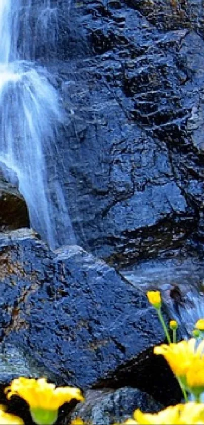 Cascading waterfall over rocks with yellow flowers in foreground.