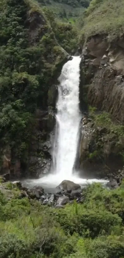 Beautiful waterfall surrounded by lush greenery.