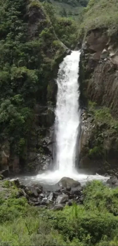 Breathtaking waterfall amidst lush greenery.