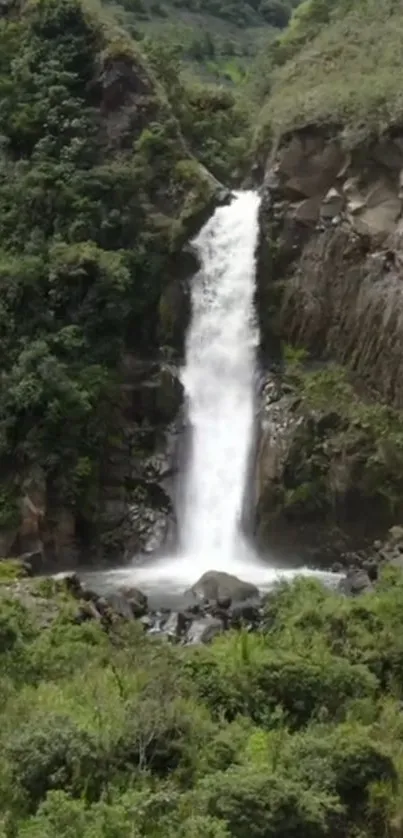 Serene waterfall surrounded by lush greenery flowing down rocky cliffs.