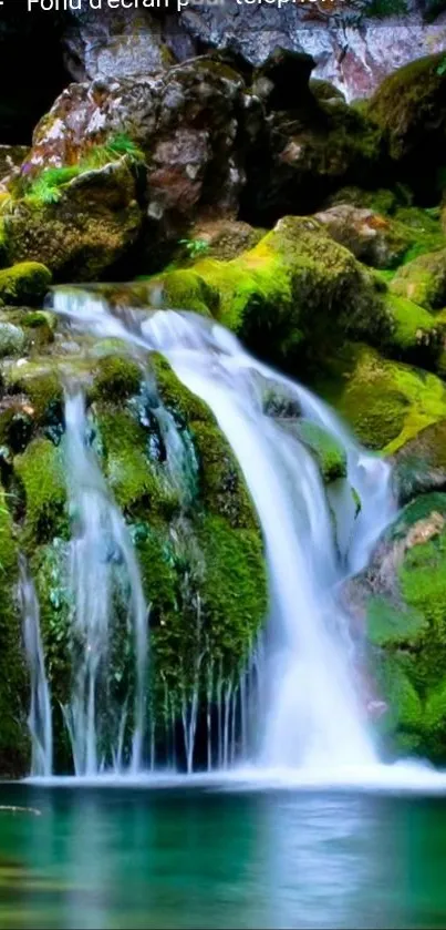 Beautiful waterfall cascading over mossy rocks in lush greenery.