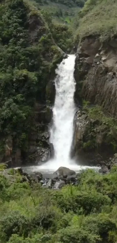 Beautiful waterfall surrounded by lush greenery.