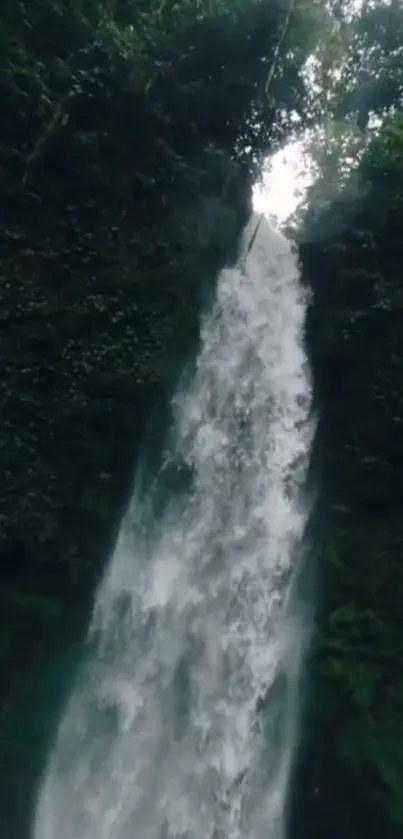 Captivating waterfall amidst lush green scenery, perfect for nature wallpaper.