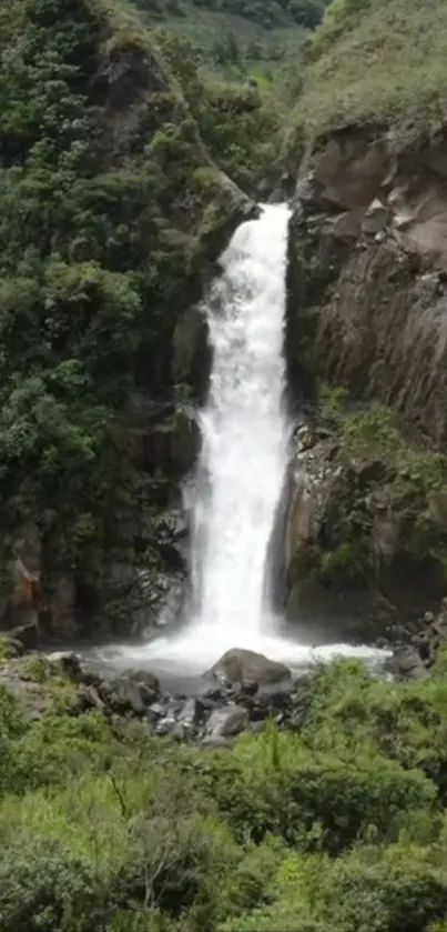 Majestic waterfall flowing through lush green forest on rocky cliffs.