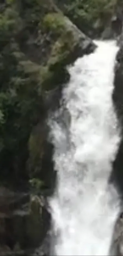 Majestic waterfall cascading through lush greenery.