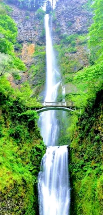 Beautiful waterfall with lush greenery and a bridge.