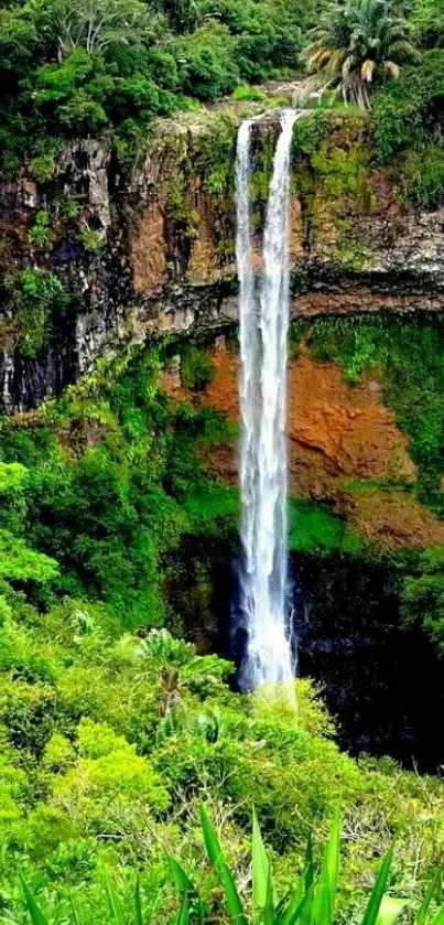 Beautiful waterfall amidst lush green landscape, ideal for mobile wallpaper.