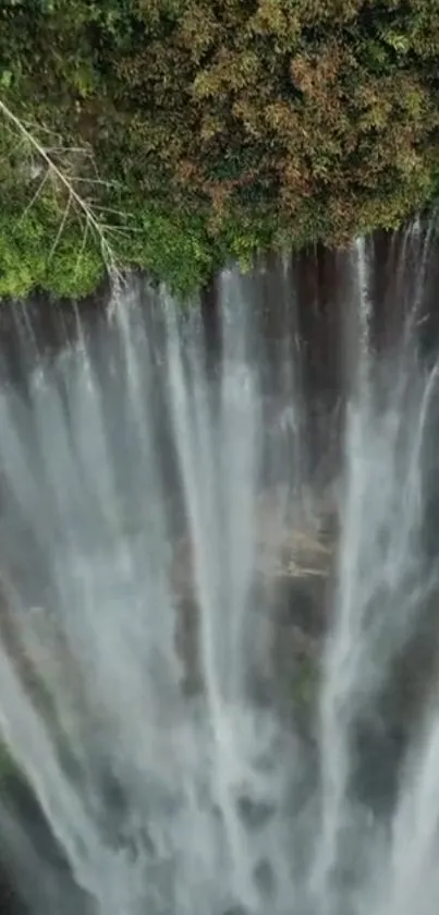 Overhead view of a stunning waterfall surrounded by lush green foliage.