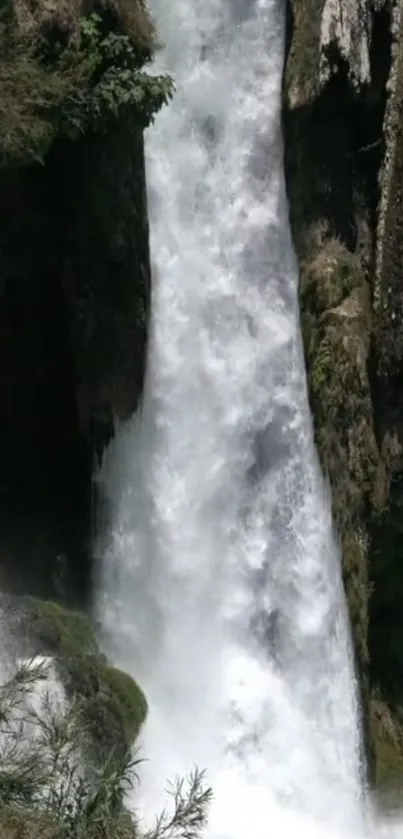 A serene waterfall surrounded by lush greenery in a natural setting.