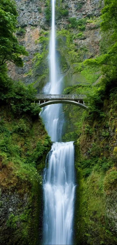 Majestic waterfall cascading through lush green landscape with a scenic bridge view.