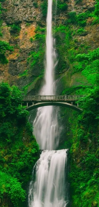 Waterfall with lush greenery and a bridge spanning the cascade.