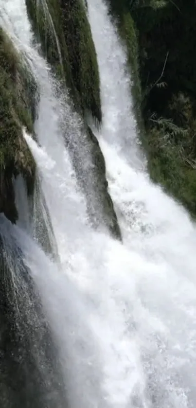 Cascading waterfall with lush greenery wallpaper.