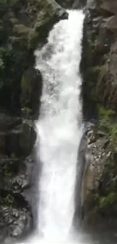 Majestic waterfall cascading down rocks surrounded by lush greenery.