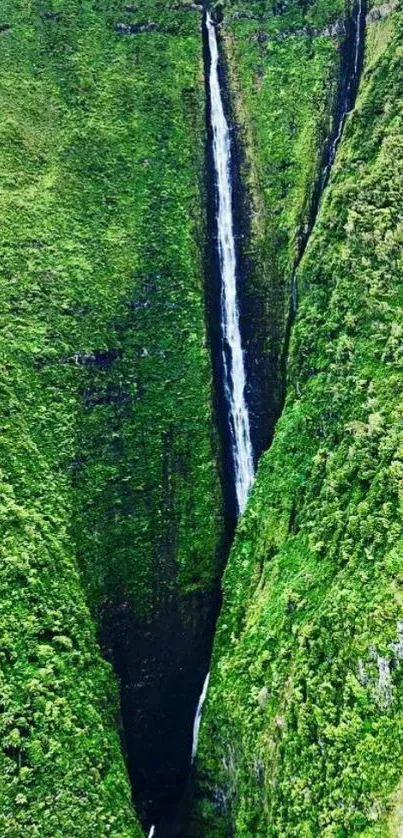 Lush green waterfall cascading down cliffs, creating a tranquil nature scene.