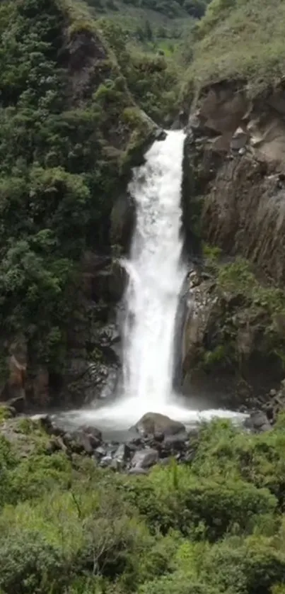 Beautiful waterfall cascading in a lush green landscape mobile wallpaper.