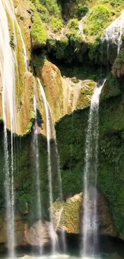 Lush green waterfall cascading in nature.