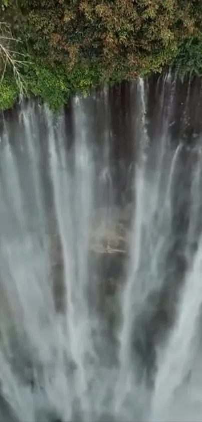 Majestic waterfall cascading down amidst greenery.