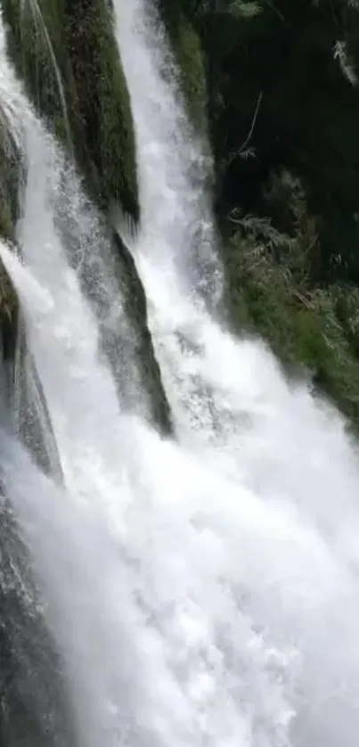 Breathtaking waterfall cascading through lush greenery.