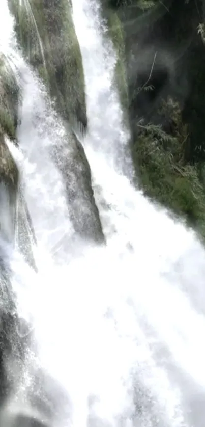 Stunning waterfall with white water cascading through green lush landscapes.