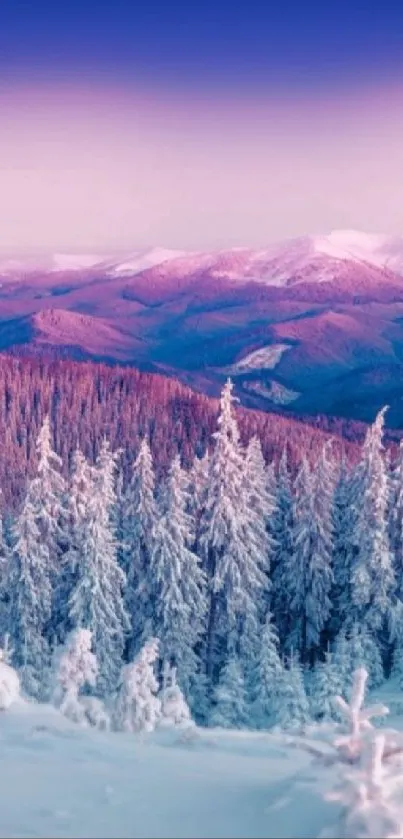 Snowy mountain and forest with pink hues.