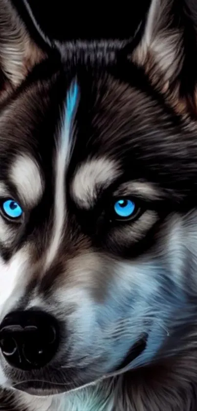 Close-up of a wolf with striking blue eyes on a dark background.