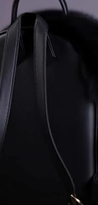 Black backpack with pink accents wallpaper.