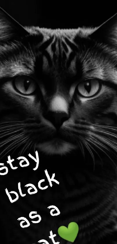 Black cat with motivational quote and heart symbol on dark background.