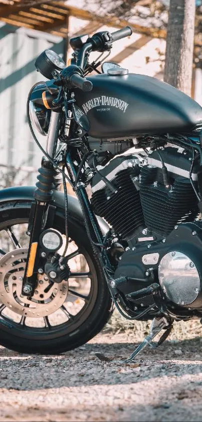 Black motorcycle parked outdoors with a stylish, sleek design.