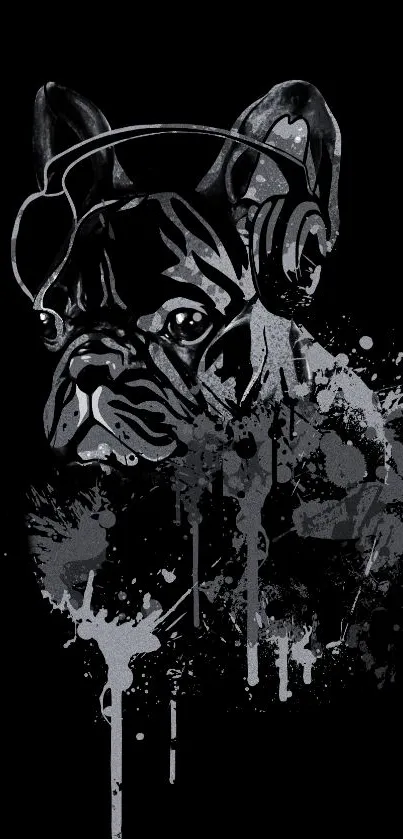 Stylish bulldog with splash design on a black background.