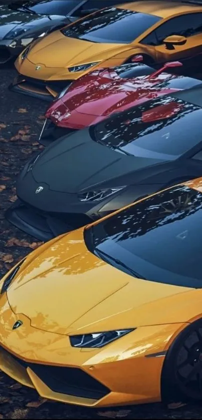 Vibrant lineup of luxury sports cars in red, yellow, gray, and orange hues.