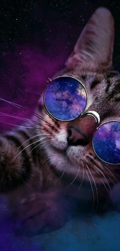 Cat wearing galaxy-themed glasses with a purple cosmic background.