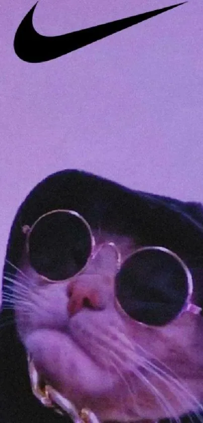 Stylish cat in sunglasses on purple mobile wallpaper.