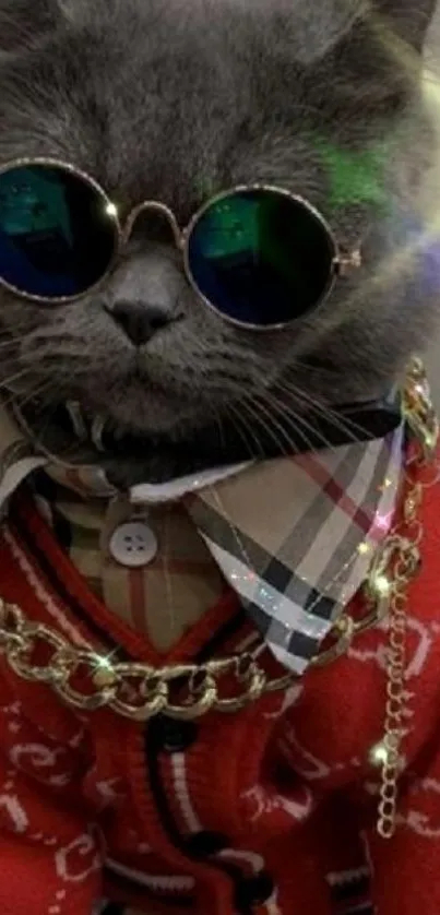 Gray cat in sunglasses wearing a red sweater with a chain necklace.