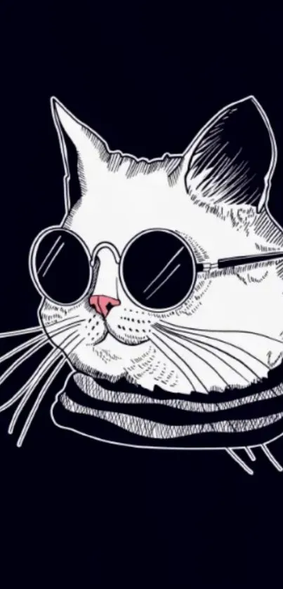 Stylish cat wearing sunglasses on a dark background.