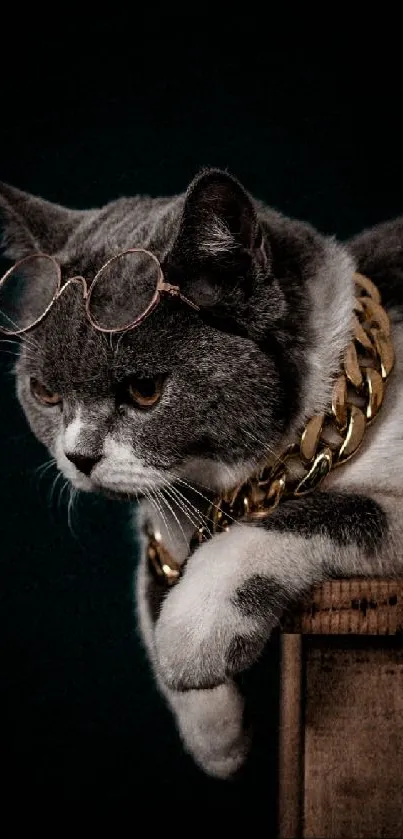 Cat wearing glasses and a gold chain on a dark background.