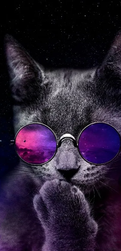 Cat wearing galaxy patterned sunglasses.