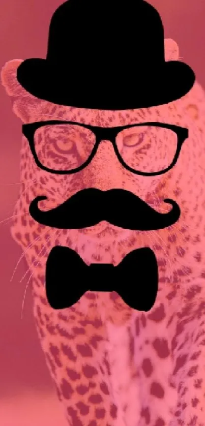 Stylish cheetah with hat and glasses, pink background.