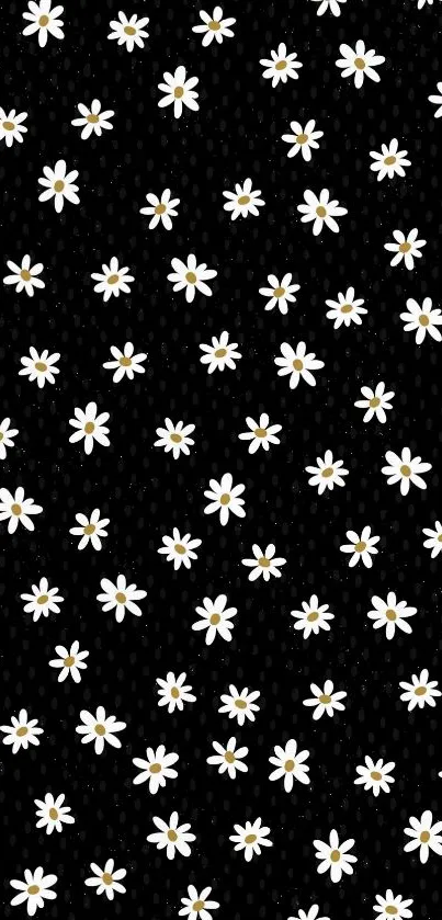 Daisy pattern wallpaper with white flowers on a black background.