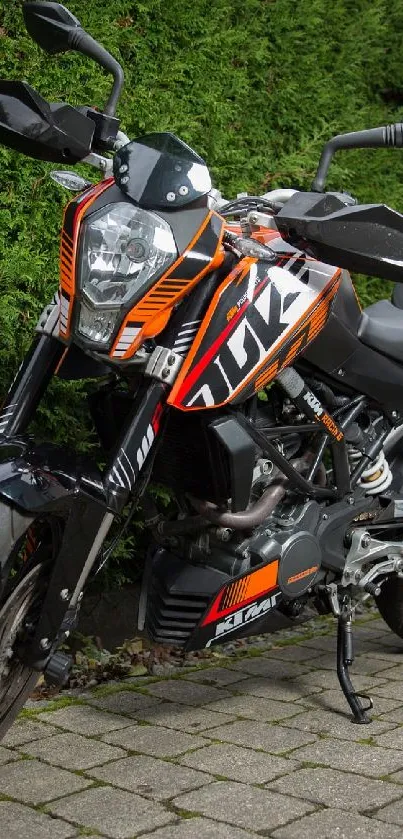 Stylish motorcycle on a cobblestone street with lush green hedges.