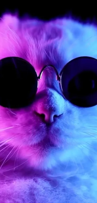 A neon cat wearing sunglasses with purple and blue glow.