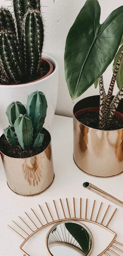 Chic indoor plant decor in gold pots.