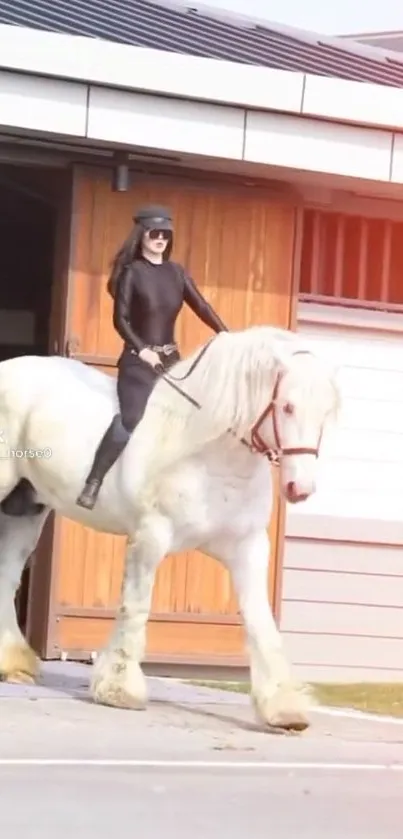 Stylish rider on a majestic white horse by modern stable.