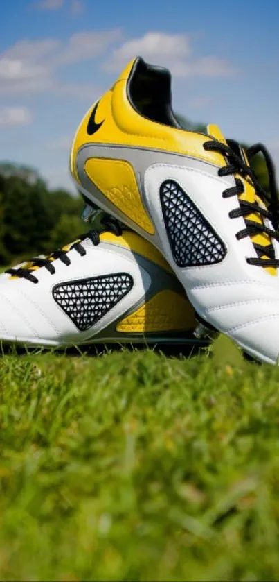 Soccer cleats on a green grass field with a clear blue sky.